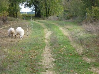  Terrain � vendre 14669 m�