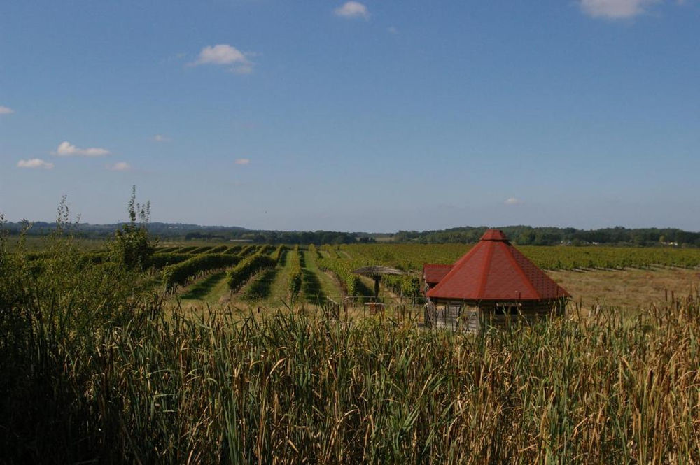 � vendre  Propri�t�/ch�teau Bergerac (24100)