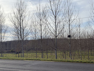  Terrain � vendre 58100 m�