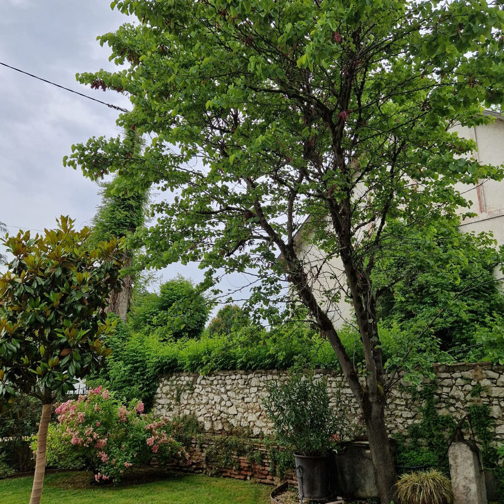 � vendre  Maison Villeneuve-sur-Lot (47300)