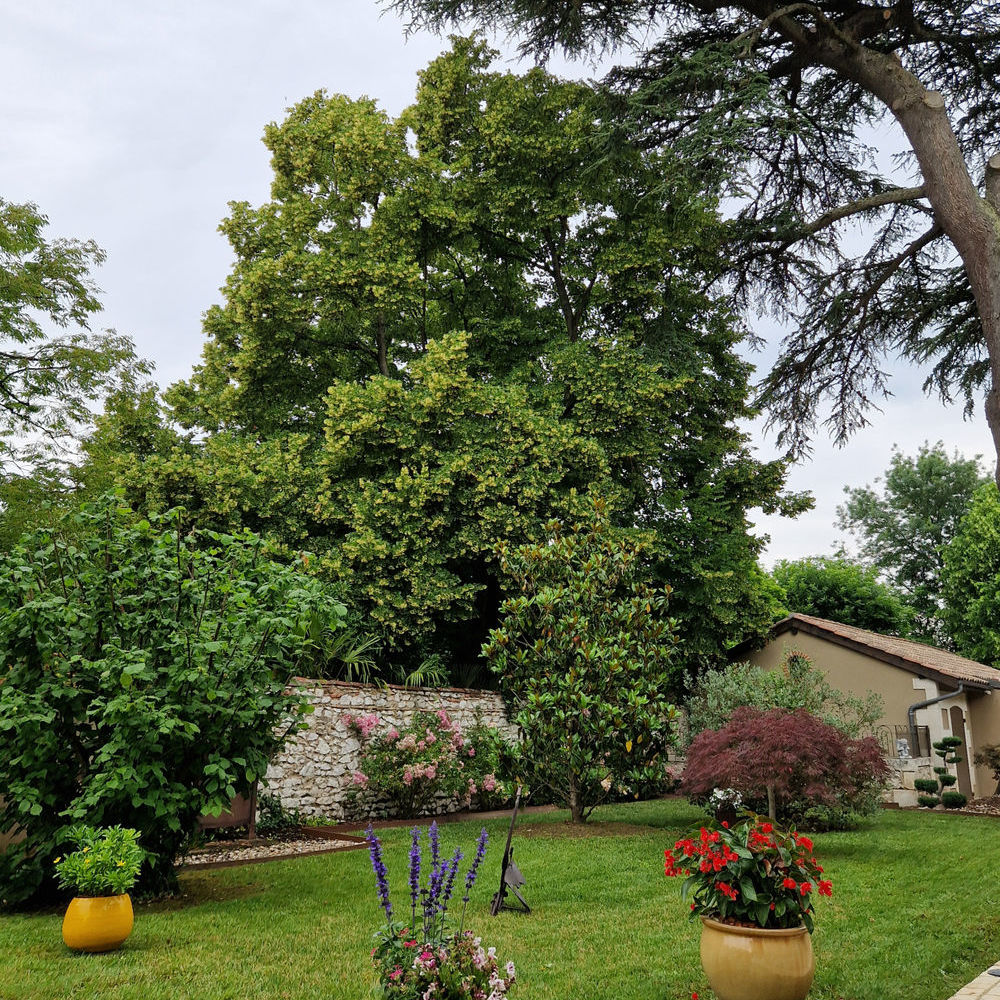 � vendre  Maison Villeneuve-sur-Lot (47300)