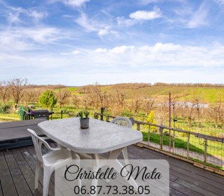  Propri�t�/ch�teau � vendre 9 pi�ces 241 m�