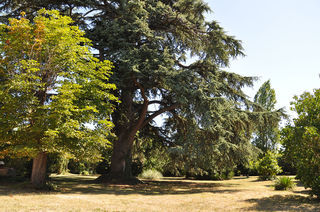  Propri�t�/ch�teau � vendre 10 pi�ces 337 m�