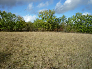  Terrain � vendre 14669 m�