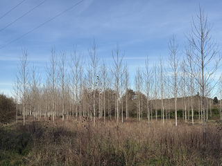  Terrain � vendre 58100 m�