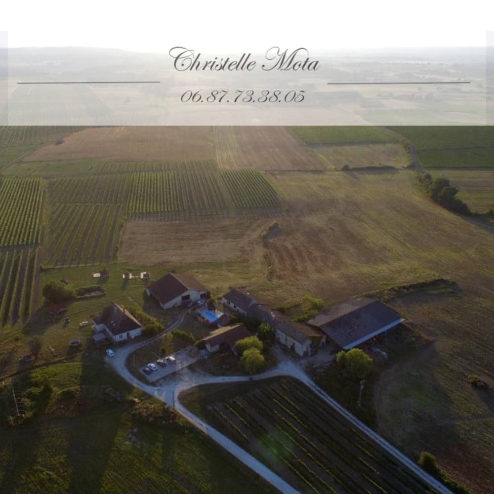 � vendre  Propri�t�/ch�teau Bergerac (24100)