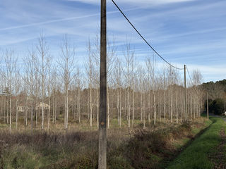  Terrain � vendre 58100 m�