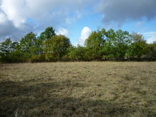  Terrain � vendre 14669 m�