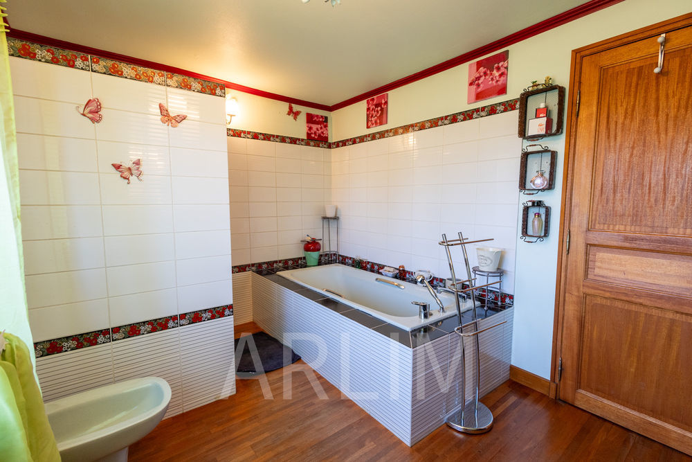 � vendre  Propri�t�/ch�teau Villette-sur-Ain (01320)