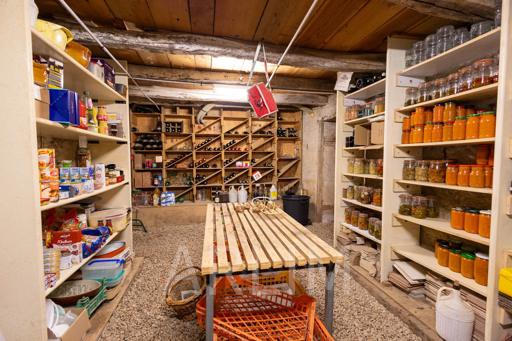 � vendre  Propri�t�/ch�teau Villette-sur-Ain (01320)