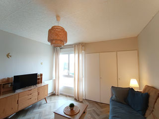  Appartement � louer 1 pi�ce 23 m�