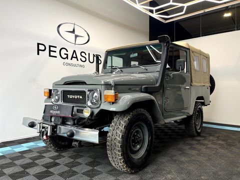 Toyota Land Cruiser FJ43 4,2L 1981 occasion Layrac 47390