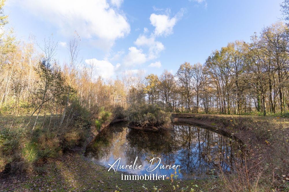 � vendre  Maison Ambillou (37340)