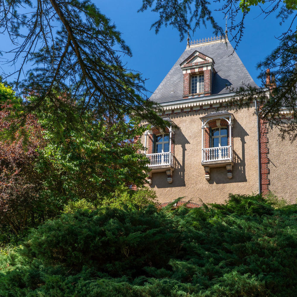 � vendre  Propri�t�/ch�teau Vernou-sur-Brenne (37210)