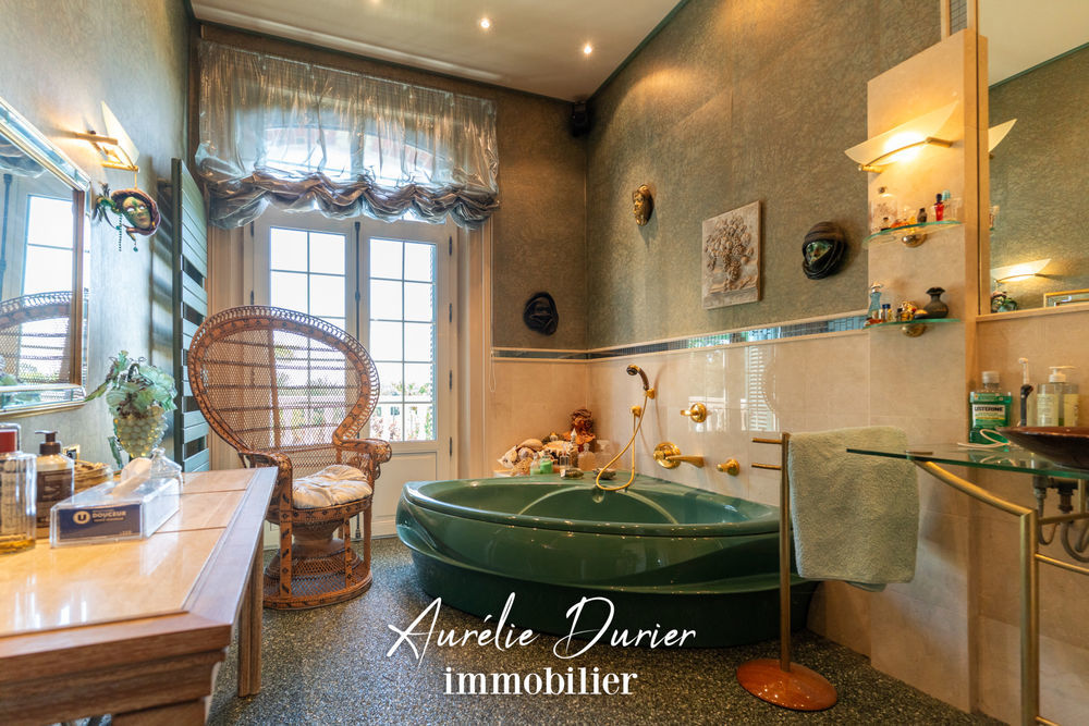 � vendre  Propri�t�/ch�teau Vernou-sur-Brenne (37210)