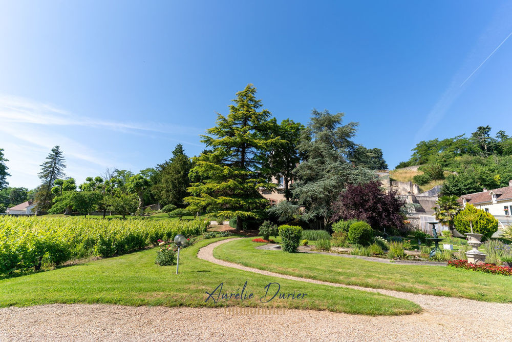 � vendre  Propri�t�/ch�teau Vernou-sur-Brenne (37210)