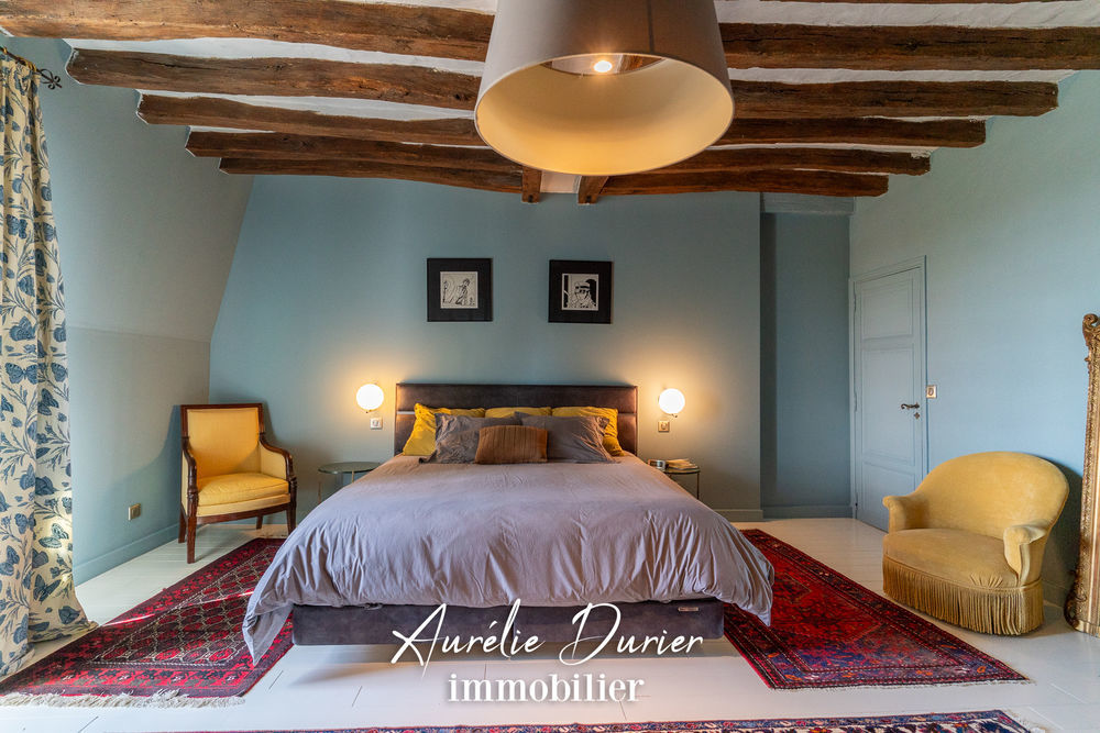 � vendre  Propri�t�/ch�teau Fondettes (37230)