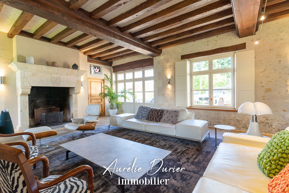 � vendre  Propri�t�/ch�teau Fondettes (37230)