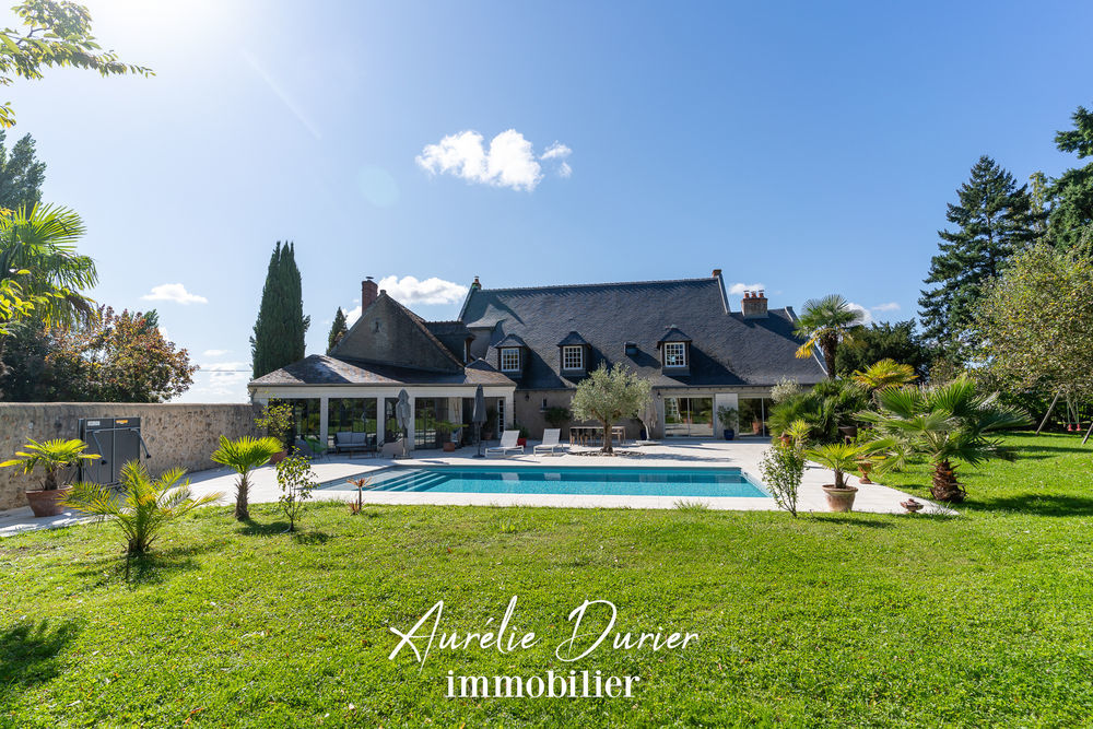 � vendre  Propri�t�/ch�teau Fondettes (37230)