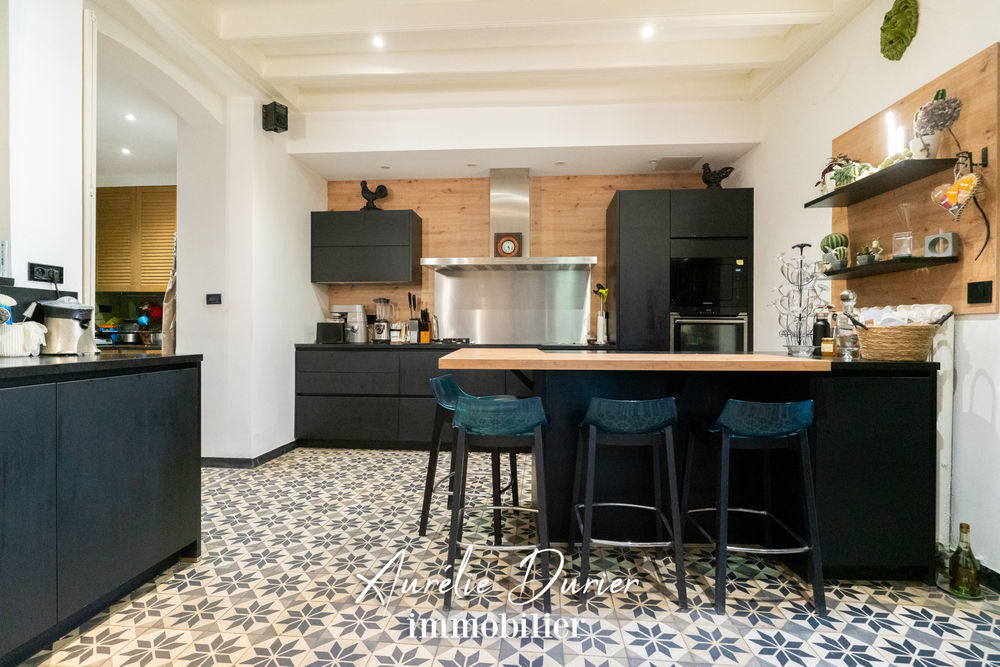 � vendre  Propri�t�/ch�teau Vernou-sur-Brenne (37210)