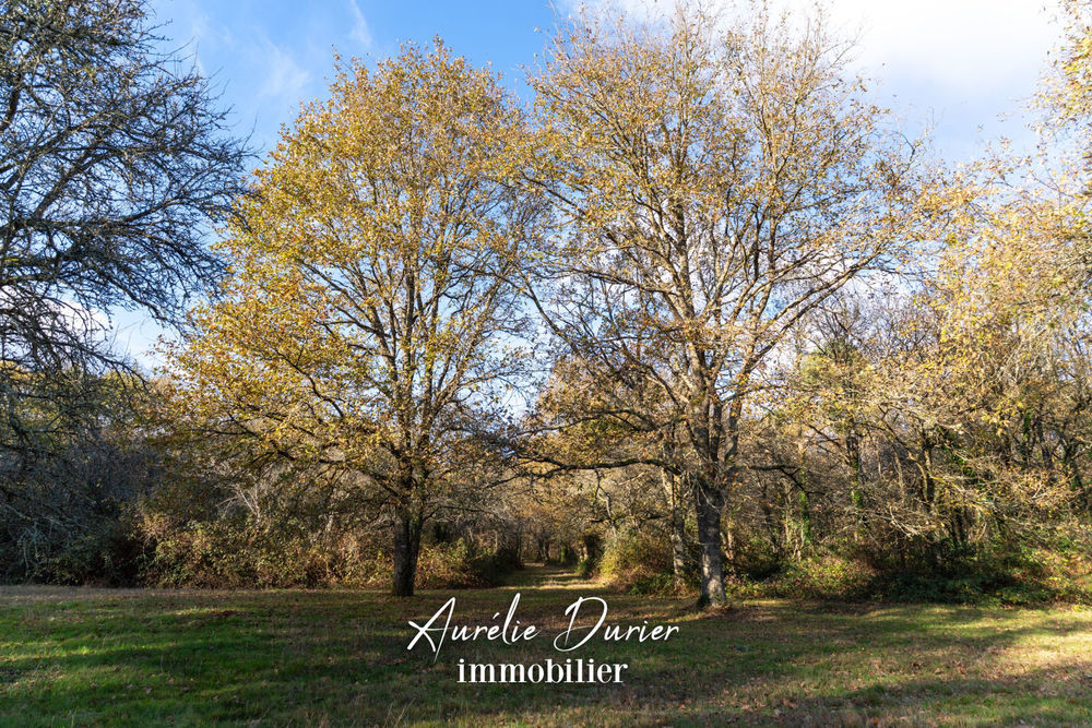 � vendre  Maison Ambillou (37340)