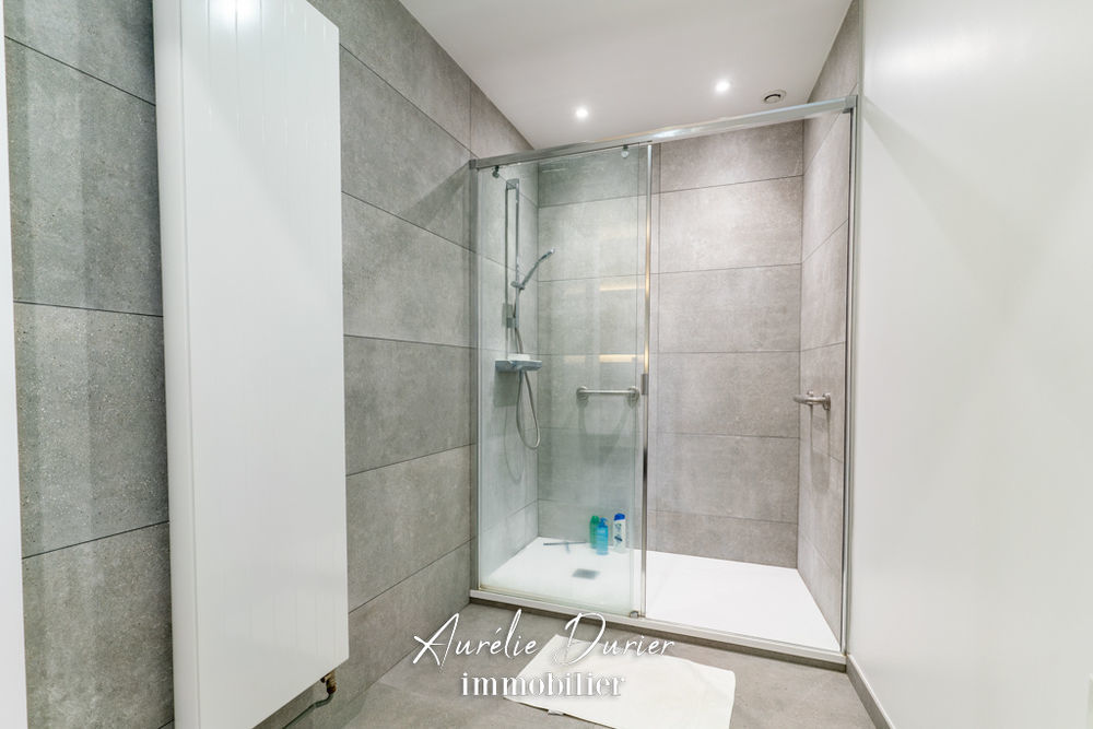 � vendre  Propri�t�/ch�teau Fondettes (37230)