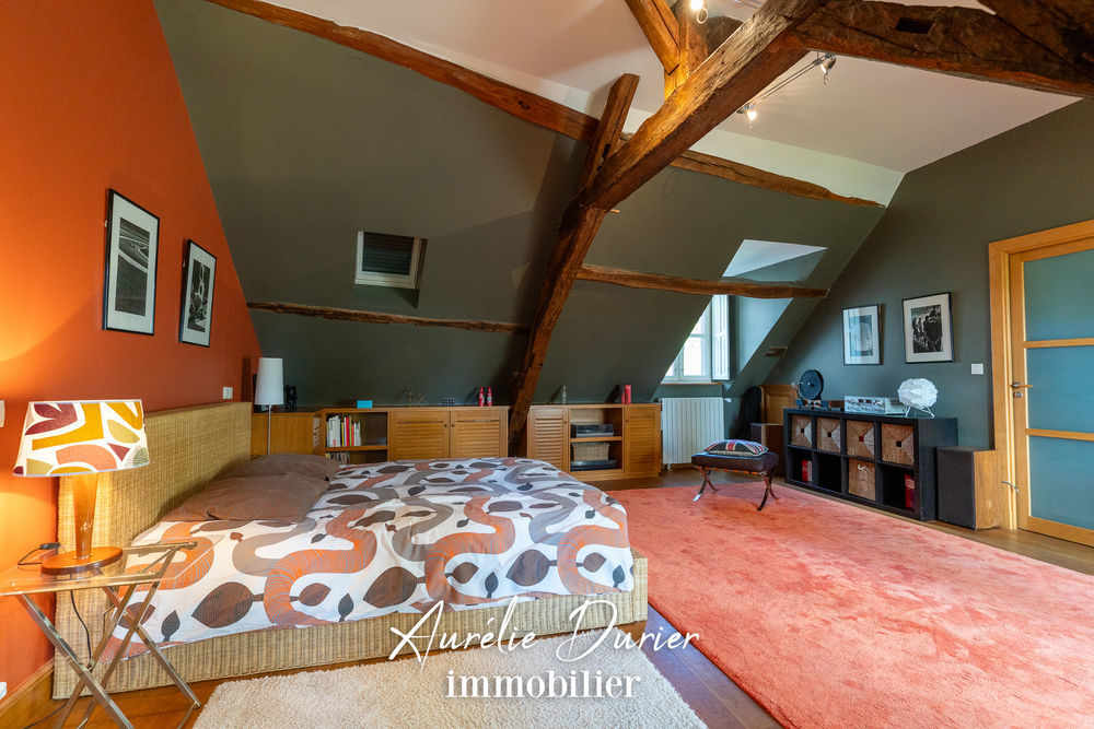 � vendre  Propri�t�/ch�teau Fondettes (37230)