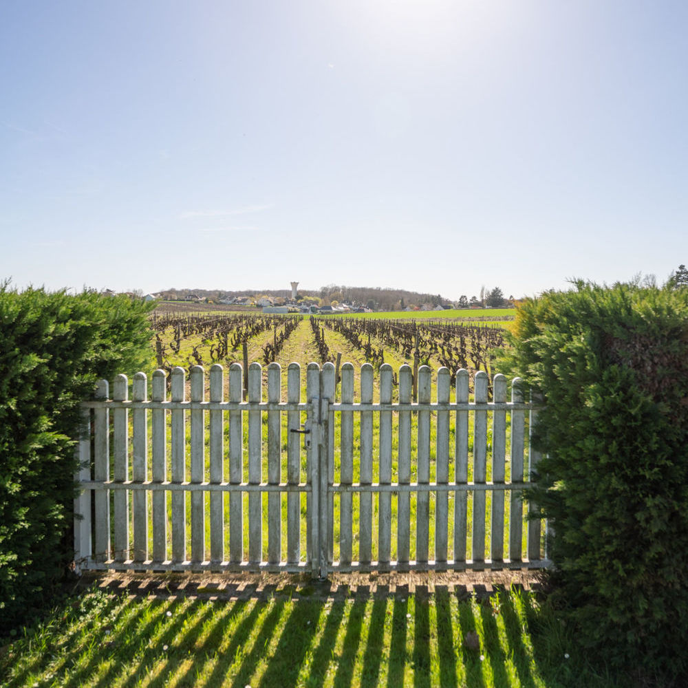 � vendre  Maison Tours (37000)