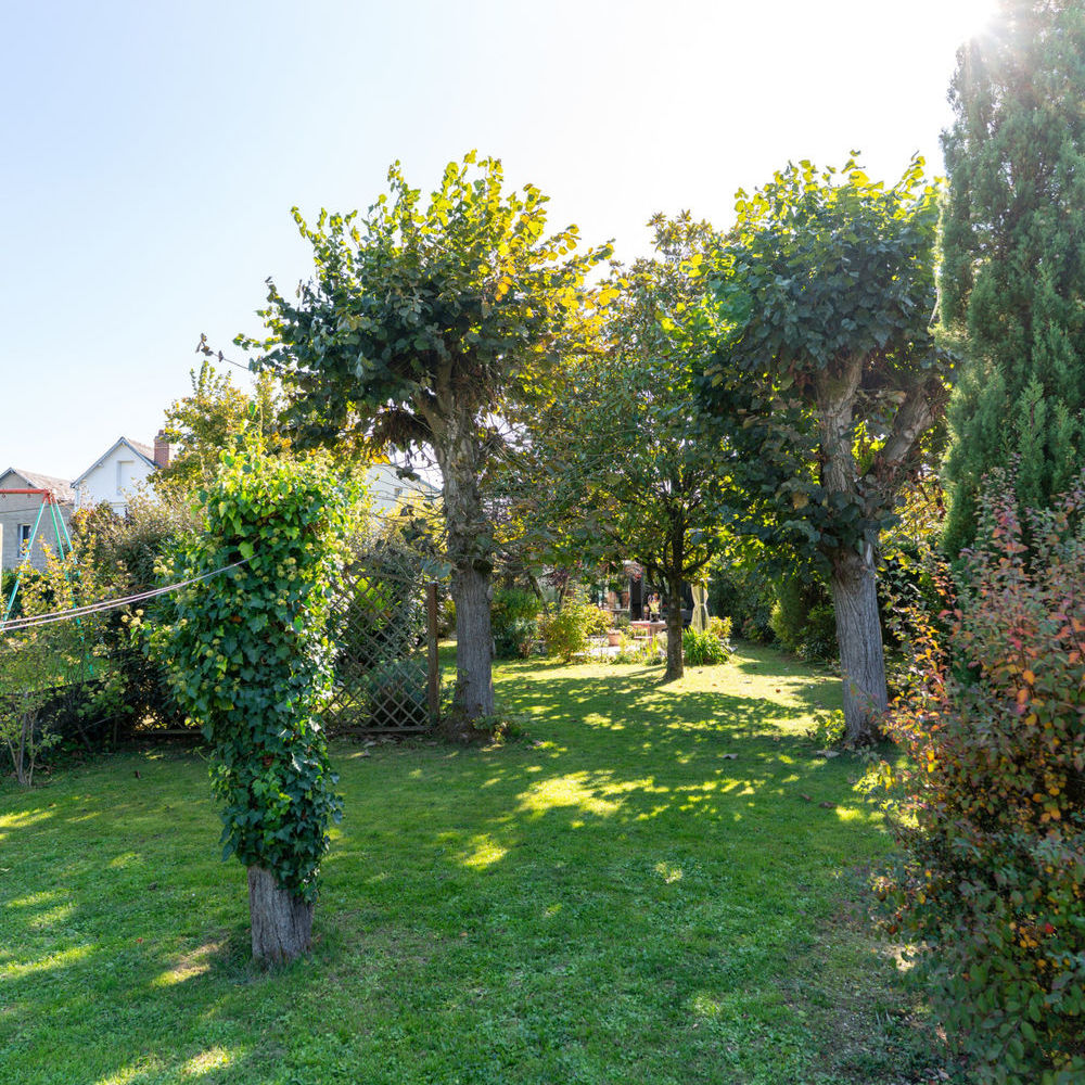 � vendre  Maison Tours (37000)