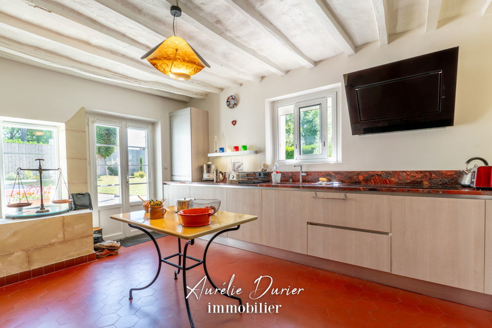 � vendre  Propri�t�/ch�teau Fondettes (37230)