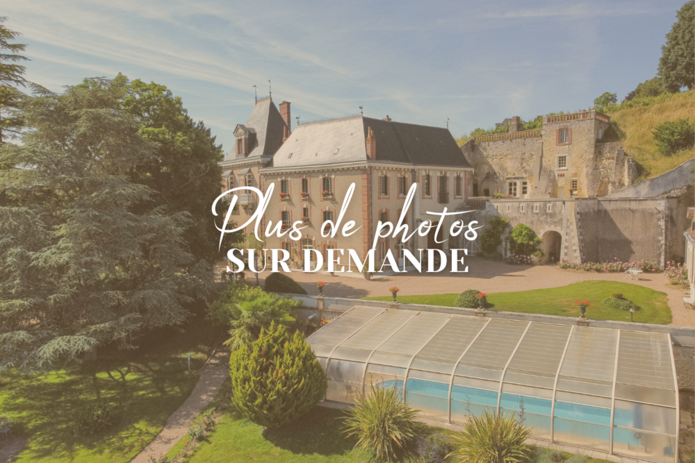 � vendre  Propri�t�/ch�teau Vernou-sur-Brenne (37210)