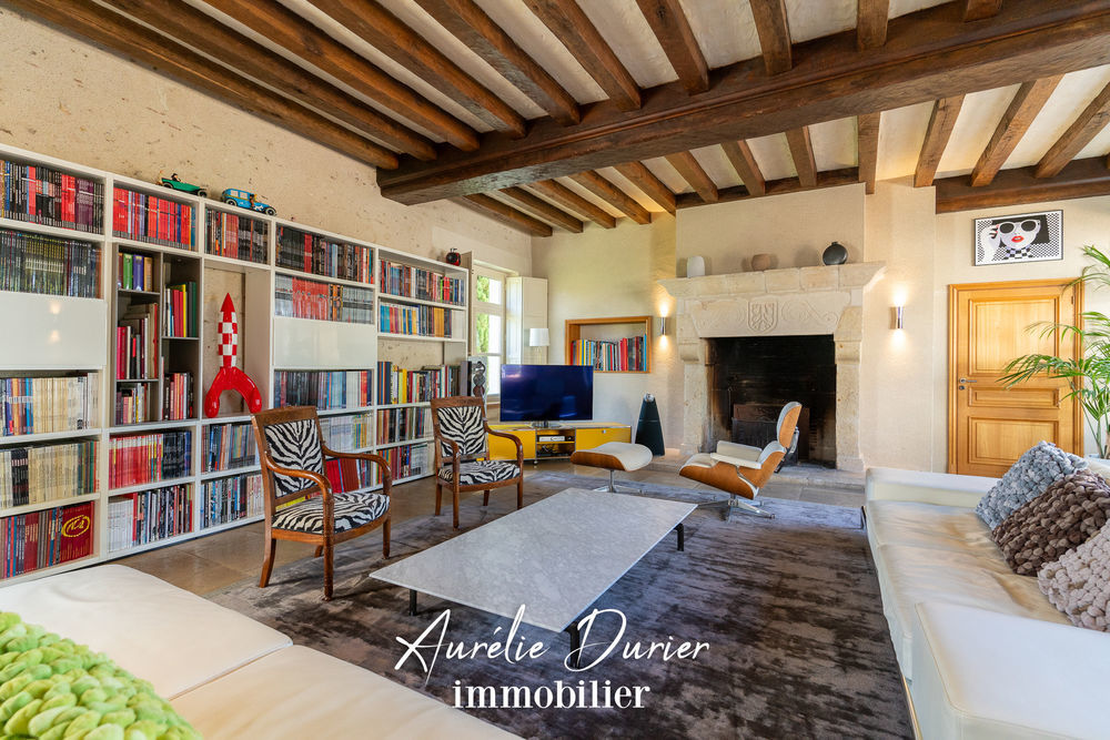 � vendre  Propri�t�/ch�teau Fondettes (37230)