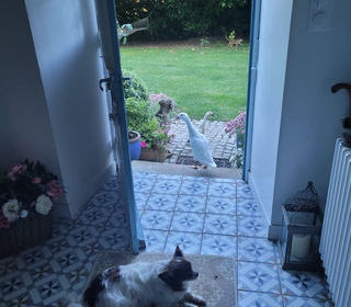  Maison � vendre 10 pi�ces 198 m�