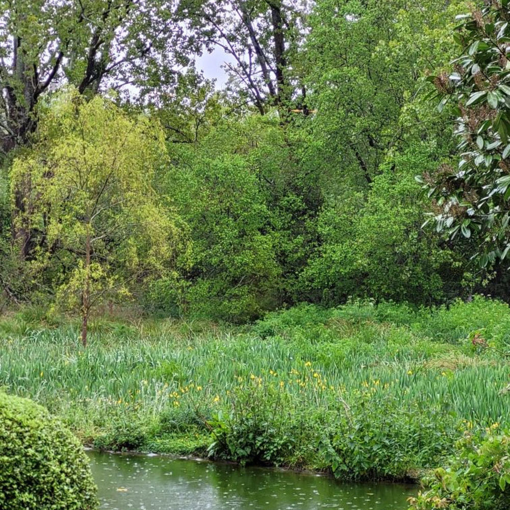 � vendre  Maison Clohars-Carno�t (29360)