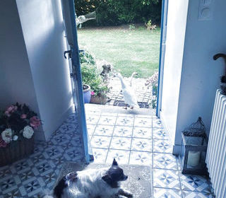  Propri�t�/ch�teau � vendre 10 pi�ces 198 m�