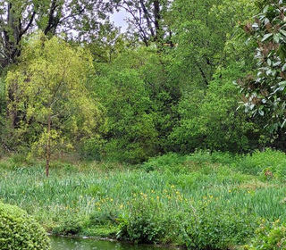  Maison � vendre 10 pi�ces 198 m�