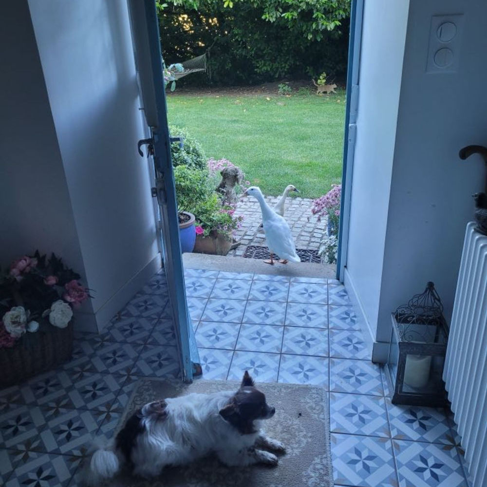 � vendre  Maison Clohars-Carno�t (29360)