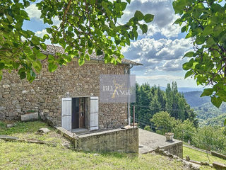  Maison � vendre 15 + pi�ces 701 m�