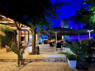  Propri�t�/ch�teau � vendre 1165 m�