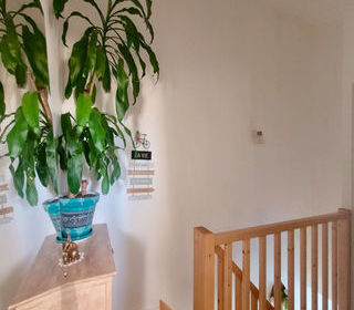  Appartement � vendre 1 pi�ce 32 m�