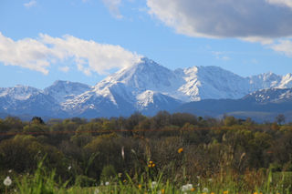  Propri�t�/ch�teau � louer 6 pi�ces 250 m�