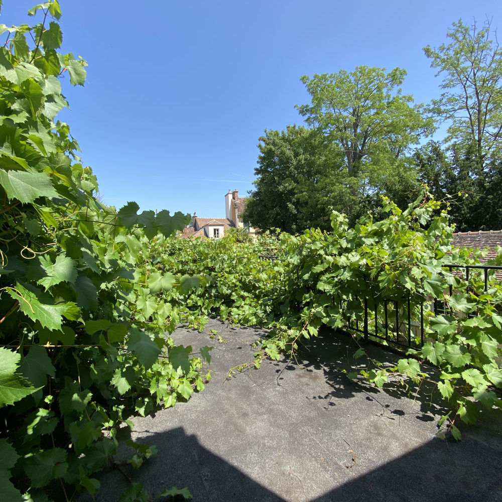 � vendre  Maison Fontainebleau (77300)