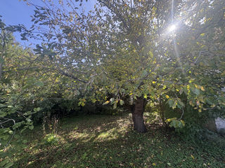  Maison � vendre 5 pi�ces 98 m�