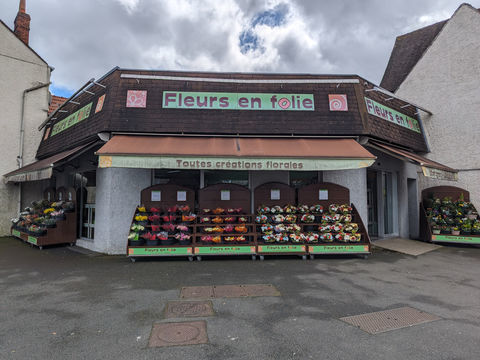 Magasin de fleurs 86400 45200 Montargis
