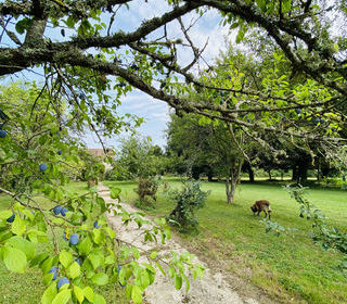  Terrain � vendre 1 pi�ce 3679 m�