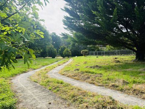   TOUT A L'�GOUT, CALME, PISCINE, 5MN COMMERCES, MAISON TYPE CHALET, D�PENDANCE, GRAND TERRAIN Chalet - 3 pi�ce(s) - 40 m�