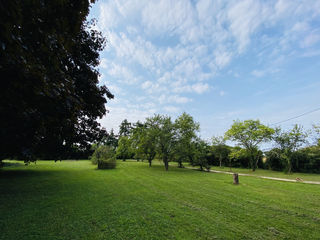  Terrain � vendre 1 pi�ce 3679 m�