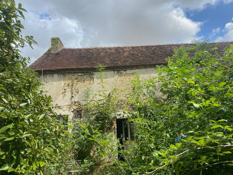   TREIGNY, Long�re � r�nover en totalit� � saisir !!! Maison