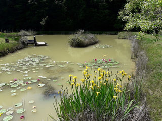  Maison � vendre 8 pi�ces 240 m�