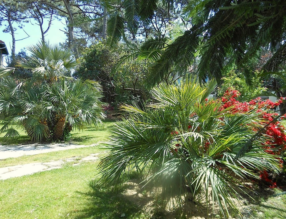 � vendre  Maison Lacanau Ocean (33680)